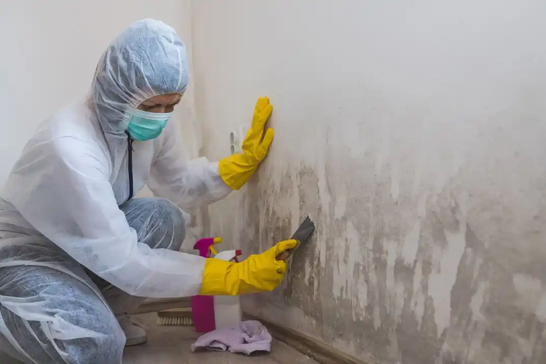 water damage restoration service Fair Lakes